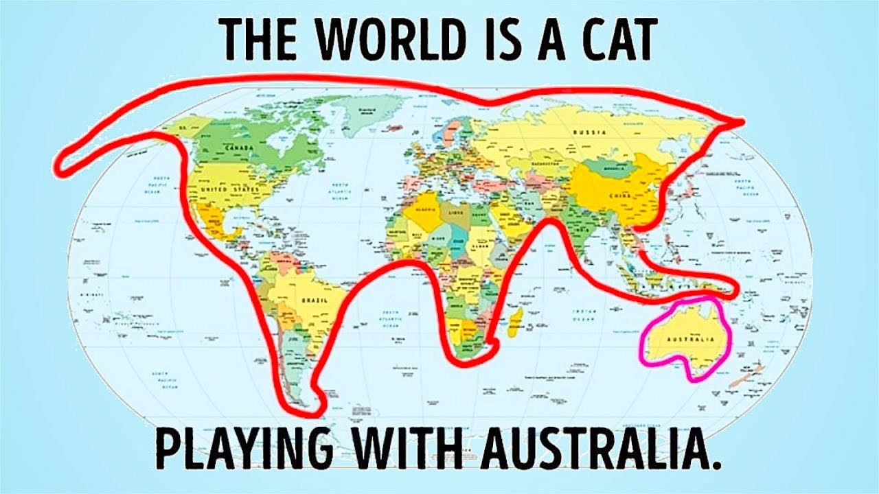Карта мира это котик играющий с Австралией
